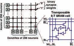 뉴로모픽시스템의설계기술과전망 < 그림 12> Transposable SRAM synapse 회로 [20] 치메모리의기능은 On-Chip-Learning의성능을높이기위한기본적인방법이라고할수있다. b.
