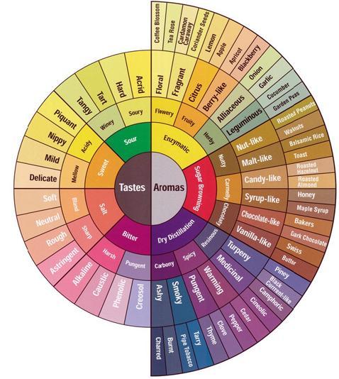 (SCAA) 에서만든 Coffee Taster's Flavor Wheel 을통해확인할수있음.