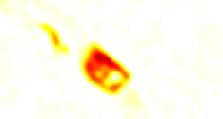 바이오이미징 (A) High-speed 3D imaging of cell reaction Silica bead z x 10 μm 0.282 sec 0.329 sec 0.376 sec 0.423 sec 0.