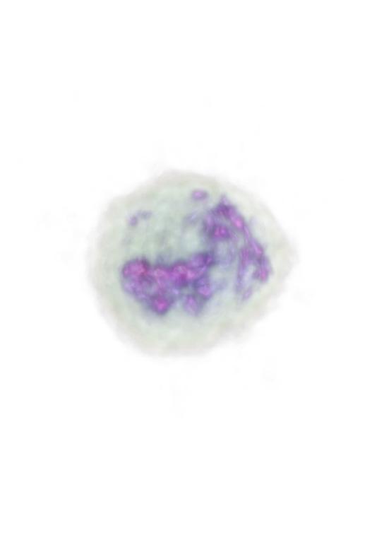 (B) Time-lapse cross-sectional slice images of the measured tomograms for red blood cells which are trapped, rotated, translated and assembled by TOMOTRAP.