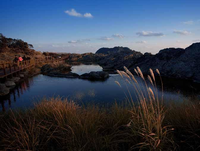 새섬 인연을만드는섬서귀포항바로앞바다에있는새섬은한자로는초도 ( 草島 ) 라고쓰는데, 초가지붕을덮는새가많아서붙여진이름이다. 산호초위에솟은석회석바위섬으로, 표면에는수많은구멍들이나있어새들의둥지로이용되고있다. 새연교를건너새섬으로들어가면, 해송으로이뤄진숲을구경하고시원한바닷바람도느낄수있다.