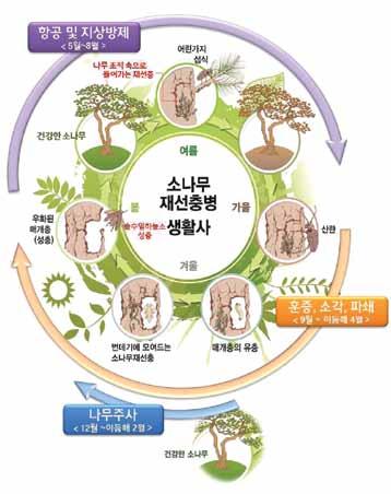 2) 고사목제거지대체조림 전면개벌지의무조림및 70% 이상벌채지조림권장