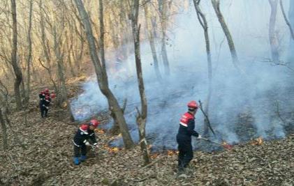 야간산불에대응한산불재난특수진화대시범운영 산불발생유형 ( 봄 가을 연중화 )