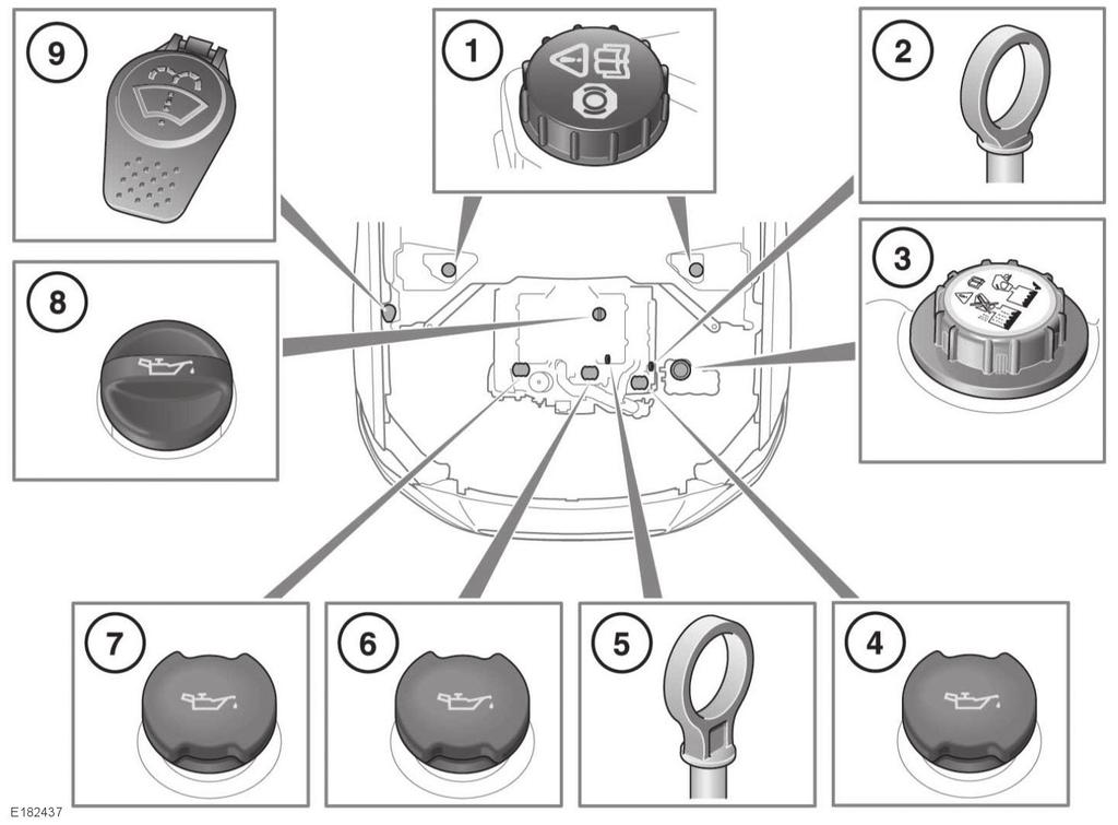유액레벨점검 유액주입구의위치 1. 브레이크액탱크 : 좌측엔진룸커버밑에위치합니다. 237페이지의엔진룸커버 - 제거하기를참조하십시오. 2. 엔진오일딥스틱 (2.0L 디젤엔진 ) 3. 냉각수캡 4. 엔진오일캡 (3.0L 가솔린엔진 ) 5. 엔진오일딥스틱 (2.0L 가솔린엔진 ) 6. 엔진오일캡 (2.0L 디젤엔진 ) 7. 엔진오일캡 (3.0L 디젤엔진 ) 8.
