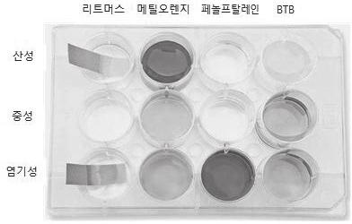 체험활동 3 여러가지액성확인 고성삼선생님목포마리아회고등학교김현돈선생님완도고등학교김호동선생님담양고등학교 1) 진단 1 우유는산성인가? 염기성인가? ( ) 2 알칼리성이온음료는산성인가? 염기성인가? ( ) 우리주변에서쉽게찾아볼수있고접할수있는물질들의산도를알아보고평소생각하고있던알카리성식품에대한오개념을바로잡아산-염기에대해이해하기물질이산성인지염기성인지알아보는가장손쉬운방법은리트머스종이를이용하면된다.