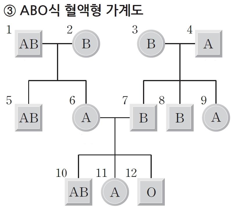 수행자료 2 ABO 식혈액형가계도 4 혈액형이 A형인사람의유전자형은 AA와 AO 두종류이고, B형도 BB와 BO 두종류이며, AB형은 AB 한종류이고, O형도 OO 한종류이다. A유전자와 O유전자, B유전자와 O유전자사이의우열관계는어떠한가? 모범답 : A유전자와 B유전자둘다 O유전자에대해우성이다. 5 A유전자와 B사이의우열관계는어떠한가?