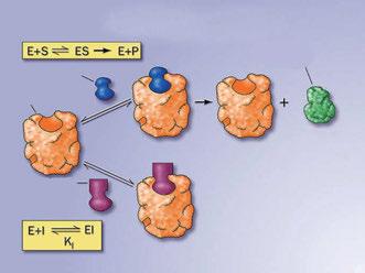 효소 기질 생성물 효소 생성물 억제물질 기질 억제물질 ❶ ❷ < 그림 Ⅱ- 12> 효소의활성억제작용.