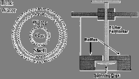 생물학적합성가스전환에의한수송용연료및화학원료생산 Figure 7. Proposed Structure of Microbubbles and Spinning Disk Microbubble Generator[13]. Figure 8.