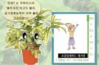 식물학적특성 분류 : 봉의꼬리과 원산지 : 한국 일반적특징 학명 (Pteris multifida) 은 여러갈래로갈라진고사리 를뜻 는이름이다.