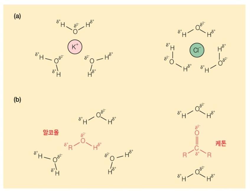 이온-쌍극자 > 을당김 ) 인력때문에물에잘녹는다 친수성 (hydrophillic) 물 ( 쌍극자 )