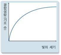 (1) 광합성은 / 식물이 / 빛에너지를 / 흡수하여 / 물 과 / 이산화탄소를 /