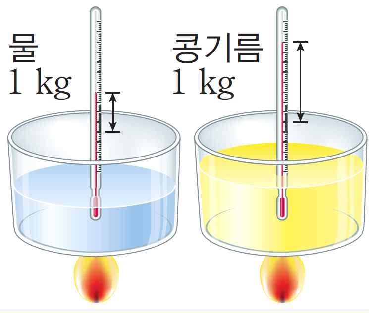 디딤영상핵심내용 1. 온도와열평형 (1) 온도 : 물체의차갑고뜨거운정도를수치로나타낸것 1 섭씨온도 2 절대온도 = 섭씨온도 +273.15 (2) 온도와분자운동 : 분자운동이활발할수록온도가높음. (3) 열 : 온도차이에의해이동하는에너지 1 열은항상고온의물체에서저온의물체로이동함. 2 열평형 : 접촉한두물체의온도가같아져온도가변하지않는상태 2.