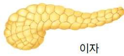 학생들이만드는칸 조커 카드 학생들이만드는칸