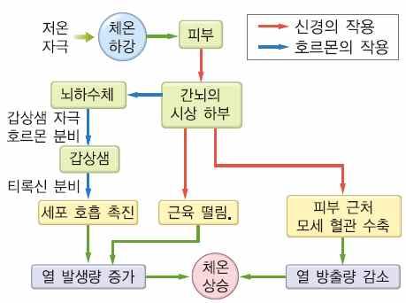 활동참고자료