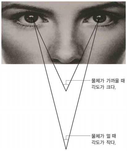 디딤영상제작참고자료 영상배경 영상속설명 (1) 시차 관측하는위치에따라가까운물체의위치가달라져보이는각도 사람의눈이두개인까닭은시차를이용하여물체의거리를판단하기위한것이다. 두눈이이루는각도가작으면물체가멀리있고, 각도가크면물체가가까이있다.