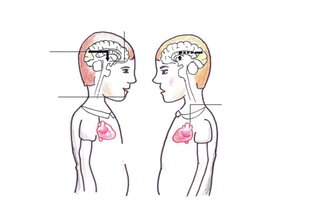 손정우 김혜리 Typical child Child with autism Amygdala Visual cortex 1. Sensory information is relayed to amygdala 2. Child exhibits appropriate emotional response 1.