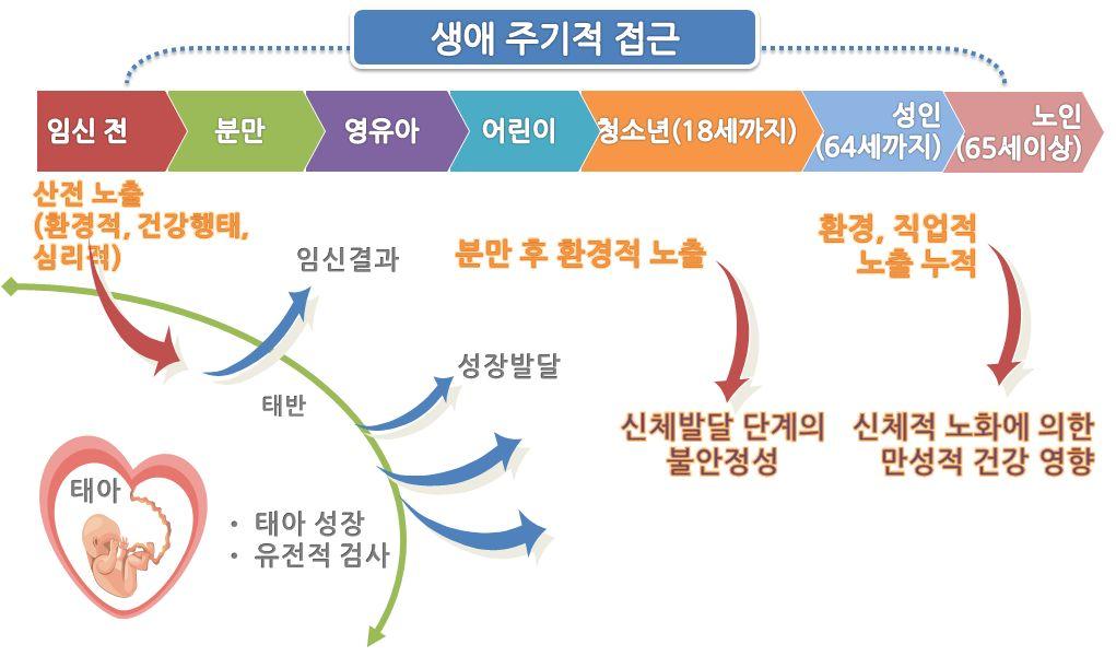 < 전생애주기별환경노출및유해영향과의연계성 > 현황및문제점 m 환경보건종합계획 ( 06) 과환경보건법시행 ( 09) 에따라다양한연령과취약계층을대상으 로환경유해인자로인한건강영향평가추진.