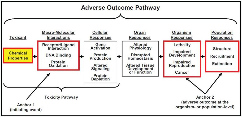 AOP 를통해화학물질노출로일어나는주요현상을확인하고설명함으로써, 특정종말점에대한통합적접근법 (IATA) 또는통합실험전략 (ITS) 을개발하거나, 카테고리화를통한독성예측을통해전통적인 invivo 실험의감소및교체로이어질수있음. 화학물질노출에따른분자수준초기현상과주요현상이유사한경우, 나타나는악영향이다르더라도화학물질영향에대한종간외삽을옹호할수있는프레임워크를제공함.