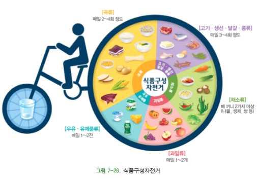 생애주기별국민식생활지침제정을위한근거마련연구 2015 한국인영양소섭취기준에서는권장식사패턴과더불어영양소단위를식품단위로전환한모델인식품구성자전거를제시하였다. 자전거바퀴에는과잉섭취를주의해야하는유지 당류를제외한 5가지식품군을제시하여매일골고루필요한만큼먹는균형잡힌식사의중요성을강조하고있으며, 앞바퀴에물이담긴컵을통해수분의충분한섭취의필요성을보여주고있다.