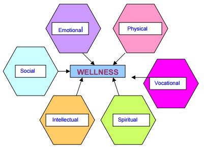 Ⅰ. 웰니스케어의정의와범위 The dimensions of wellness Environmental Financial Medical