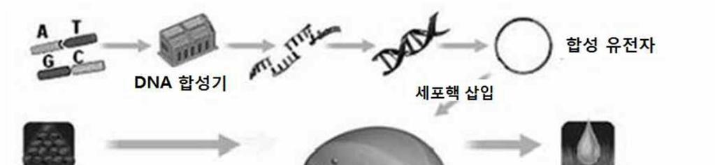 217. 11. 7 혁신형 R&D, 전략적 R&D, 바이오기반융합 R&D 수혜주 합성생물학전문바이오벤처 : 글로벌합성생물학시장규모는매년연평균 23% 씩성장하여 22 년 147 억달러에이를전망이다.