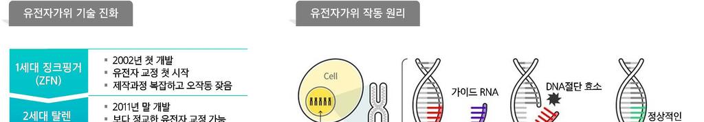 217. 11. 7 유전자교정전문바이오벤처 : 유전자가위는단백질효소를이용해질병을유발하는돌연변이유전자를선택적으로잘라내는등특정유전자를교정하는기술이다. 세대를거듭하며대물림되는유전질환을근본적으로치료할수있고특정기능을강화한동식물자원을얻거나기초생명과학연구를하는데활용할수있다.