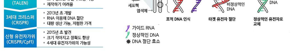 정부의유전자교정분야에서글로벌최초기술개발을추진할계획에따라 툴젠의수혜가기대된다. 유전자가위기술진화및작동원리 자료 : 언론보도, Reuter, 삼성증권 토종연구대행기업 CRO: 글로벌 CRO 시장규모는매년연평균 11.9% 씩성장하여 219 년 54 억달러에이를전망이다.