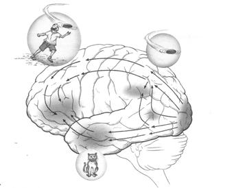 오은아 Visuospatial output Constructional ability Ability to motorically produce or manipulate items so that they have a particular spatial relationship