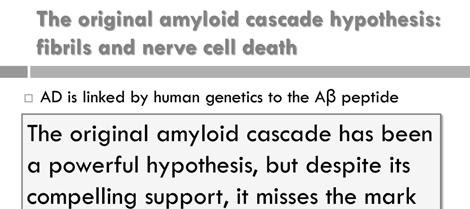 Amyloid