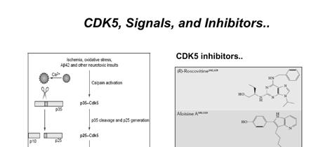 s Disease