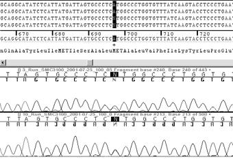 Genetic Markers in Alzheimer s Disease Mutation