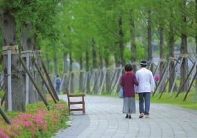 On the way back, some grandma ask him for direction, and he falls in love at first sight.