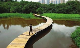 사진: MATTHIEU PALEY 3 침베이추이 Tsim Bei Tsui 사진: SAMSON SO 애퀴덕트 브리지 Aqueduct Bridge 3