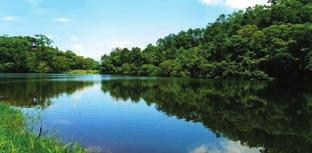 Hok Tau Reservoir Family Walk 샤로퉁 3 Sha Lo Tung 우선 라우슈이흥 보호구역으로 간다.