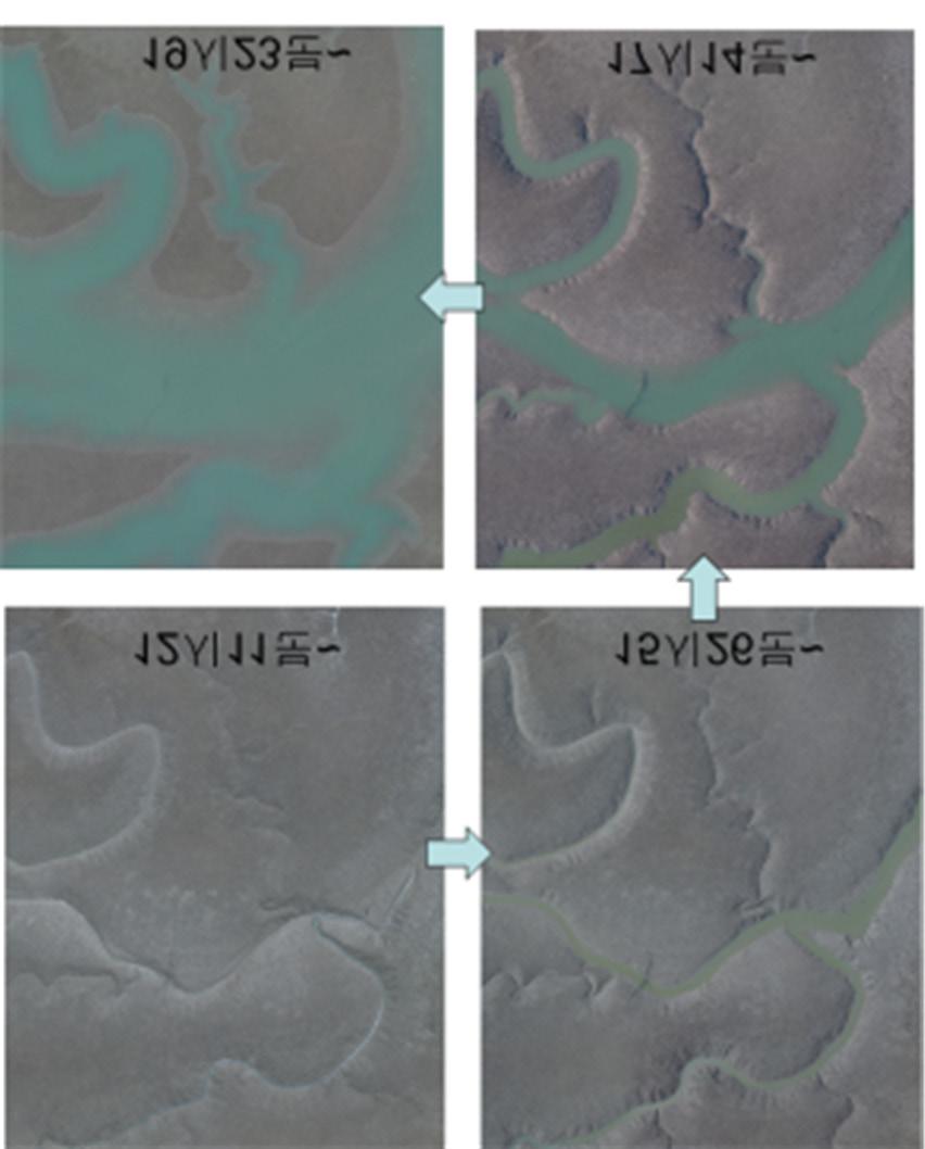 전라남도영광함평만야월리갯벌에대해 GPS 기준점측량, 시간대별드론영상획득, 번들조정, 입체영상처리를통한 DSM 생성및정사영상생성, 상호좌표등록등의절차를통해단시간내에 cm급고해상도및공간정확성이높은갯벌의공간정보생성이가능하였다.