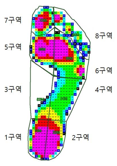 Ⅱ. 연구방법 8 부위로구분하였다. 각각의부위에대한최대힘 (maximal force), 최고압력 (peak pressure), 접촉면적 (contact area) 등 3개의변인들에대한정보를수집하였다.