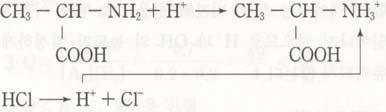 [ 반응 Ⅰ] () 양쪽성물질은산으로도작용하고, 염기로도작용할수있는물질이다.