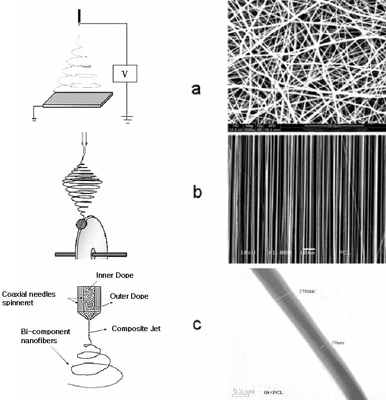 and mechanical signals, and (E) Cellular constructs maintained in bioreactors. 그림 3. Schematics of electrospinnig.