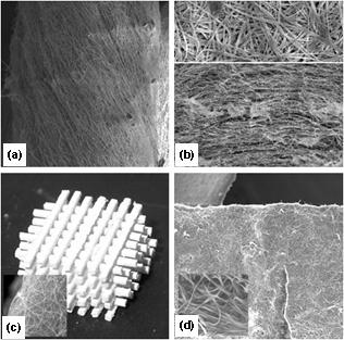 ALP activity(μmol/mg/n).6.4.2 P<.1 P<.1. Gelatin 2%HA 4%HA 그림 1. 3D structured matrices of the electrospun glass nanofibers for tissue regeneration.