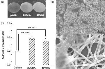 3D macroporous dcaffold: ready-made filaments were archittectured using a negative-mold technique and then heat-treated; enlarged in inset.