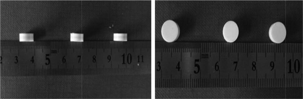 다양한친수성고분자를이용한삼중층정제의니페디핀서방화및특성분석 741 Figure 2. Multi-layer tablet formulation. 물및여러수용성고분자, 그리고제조된고체분산체의입자상태및표면을관찰하기위해서주사전자현미경 (Bio LV- SEM, S-3000N, Hitachi Co, 일본 ) 을사용하여분석하였다.