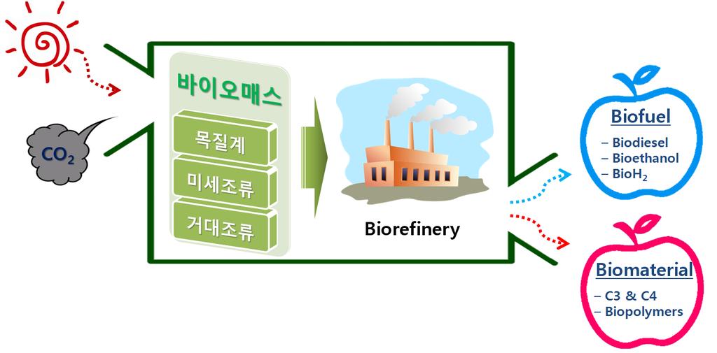 소등을재료로사용하여광합성을통해지속적인생산이가능한자원이기때문에바이오매스로만드는바이오연료역시지속적인생산이가능하다. 현재전세계바이오매스양은 1차총에너지소비량의 10배에달한다. 그중일부만바이오연료로전환하더라도인류는에너지의고갈염려가없는풍부한에너지원을확보하여, 석유자원을상당부분대체할수있게된다 [1].