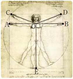 기본도형과위치관계 각 14. 오른쪽그림은레오나르도다빈치의 신체도 이다. 다음각을예각, 직각, 둔각, 평각으로분류하여라. 117) 17.