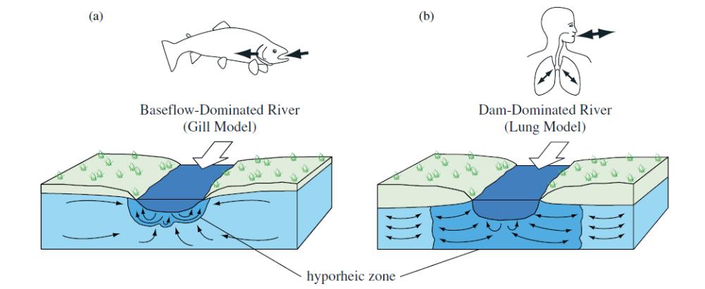 제 2 장 지표수 - 지하수혼합대주요관리요소 - 하천사례중심으로 11 자료 : Sawyer et al.(2009).