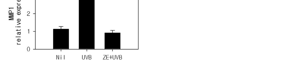 After irradiation with 20 mj/cm 2 of UVB, the cells were incubated in the ZE containg culture media for 24 h. And then, the mrna expression level of MMP1 was measured ( * p < 0.5, ** p < 0.