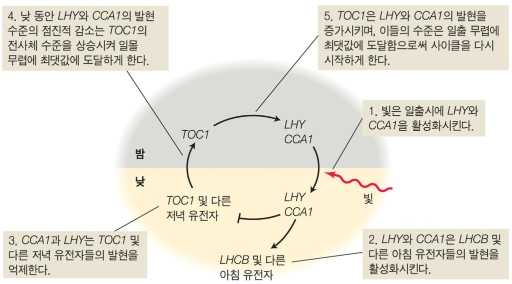 그림 17.