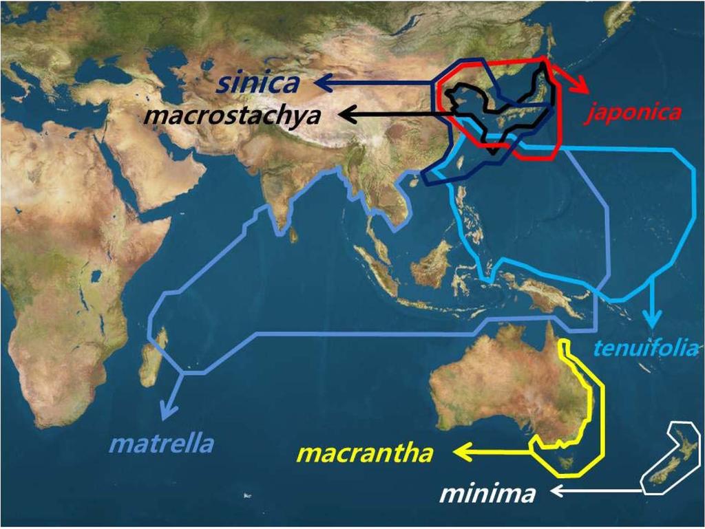 한국잔디류의연구동향분석 93 Fig. 1. Regional distribution of Zoysia spp. presented at the meeting of the Japanese Society of Turfgrass Science in 2012.