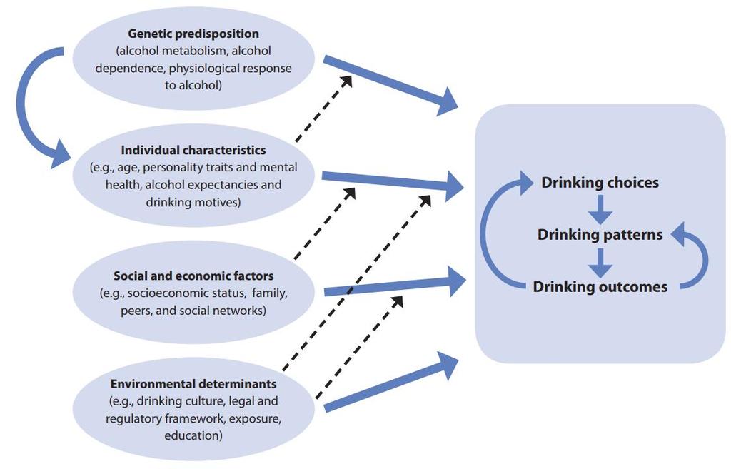 14 개인음주행태요인분석및음주행태개선을위한가이드라인개발연구최종보고서 올중독으로이어지는것으로알려져있음 (Hawkins et al., 1992). 이러한유전적소인은환경적요인과상호작용하여알코올중독을 설명함.
