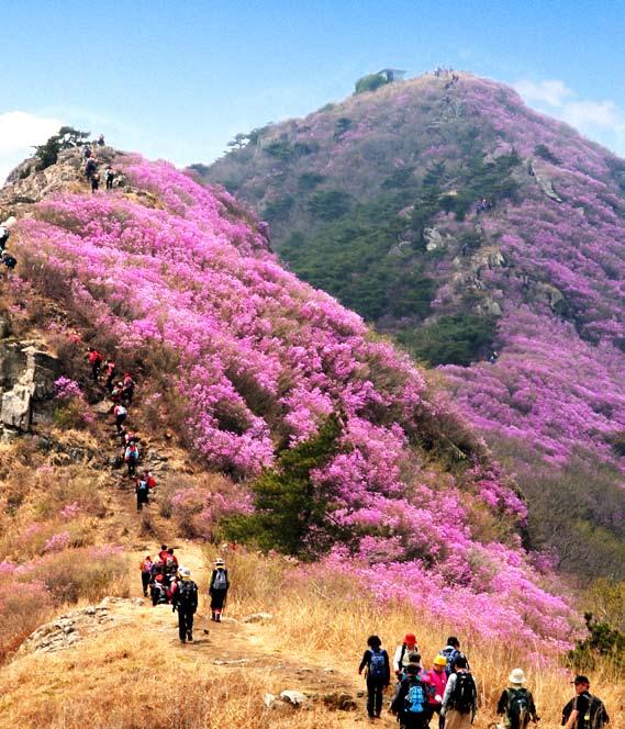 광양만권경제자유구역저널통권제31호 5 6 MAY / JUNE 2010 www.