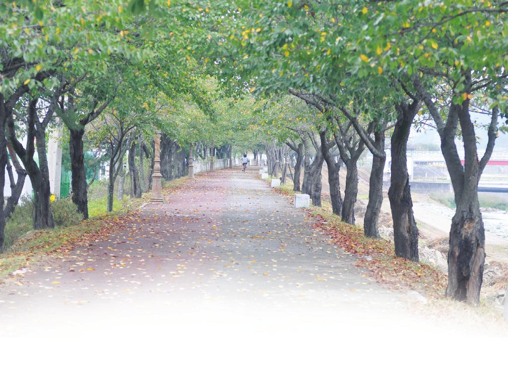 테/마/기/획 전북의 강을 찾아서 ❸ 섬진강 남원 요천 제방숲을 따라 한 시민이 자전거를 타고 지나고 있다. 를 넘으면 화순, 보성, 나주로 통할 수 있으며, 곡 이름을 따온 것이라고 한다. 성을 지나 삼기면을 거치면 석곡, 벌교 방면으로 현재 조성되고 있는 선각산 자연휴양림 관리사 통할 수 있다.